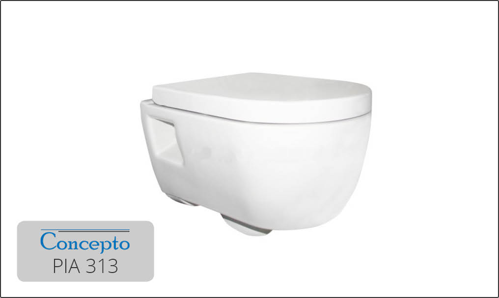 concepto_pia313
